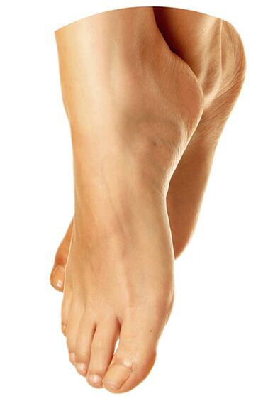 Feet Health con Promicil