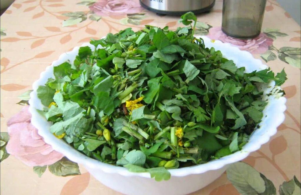 Celidonia tritata per preparare unguento antimicotico